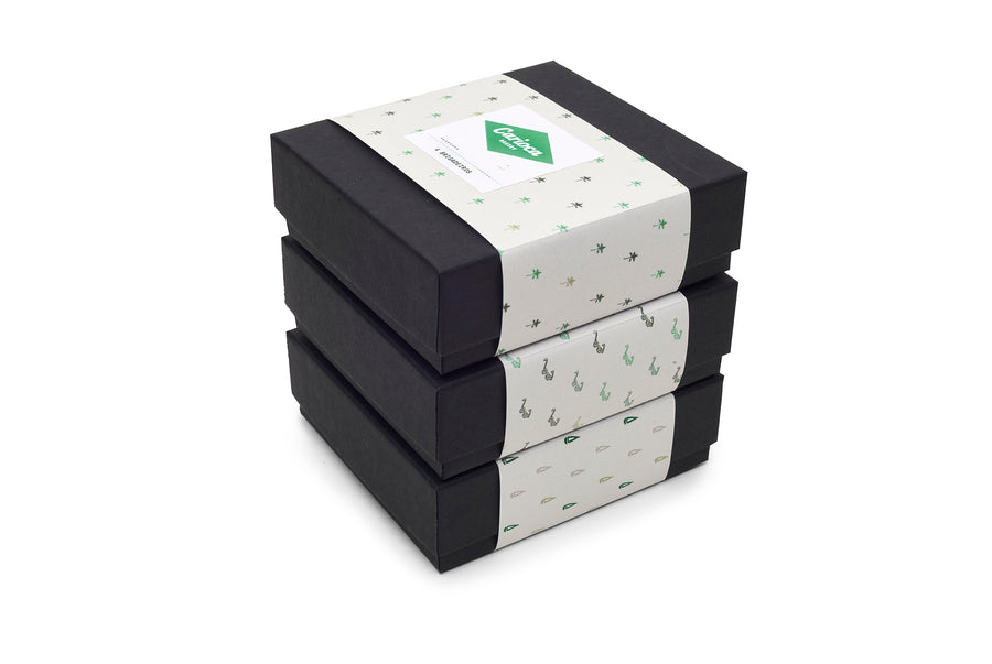 Arpex Set — 3 Boxes